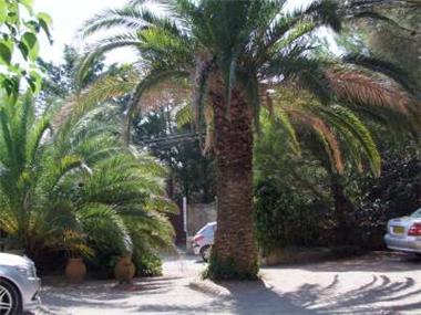House for sale in Gassin (Provence-Alpes-Cote d'Azur)