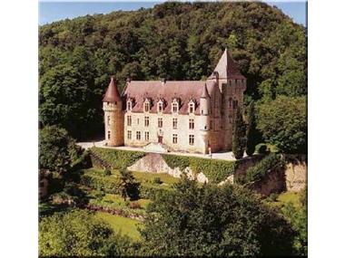 Ch�teau for sale in Perigueux (Aquitaine)