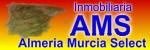 Inmo AMS Logo